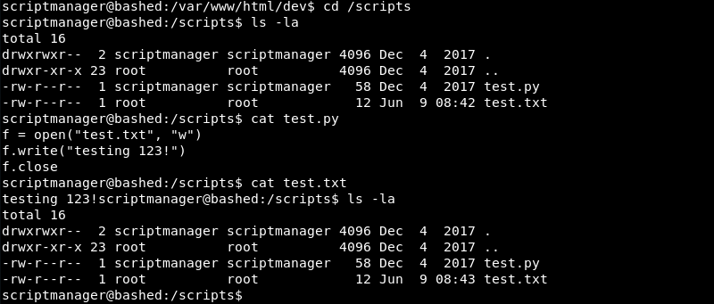 “Investigating the Scripts Directory”